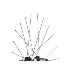 Mavic Spokes 261mm For Crossroc 2014/Crossroc XL 2015 Rear Wheels - Drive Side (12 Pieces) - 36675201 - Black