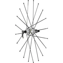 Mavic Zicral Spokes 273.5 Mm For Ksyrium Pro Disc 2015 Rear Wheels - Drive Side (10 Pieces) - V2270501 - Black